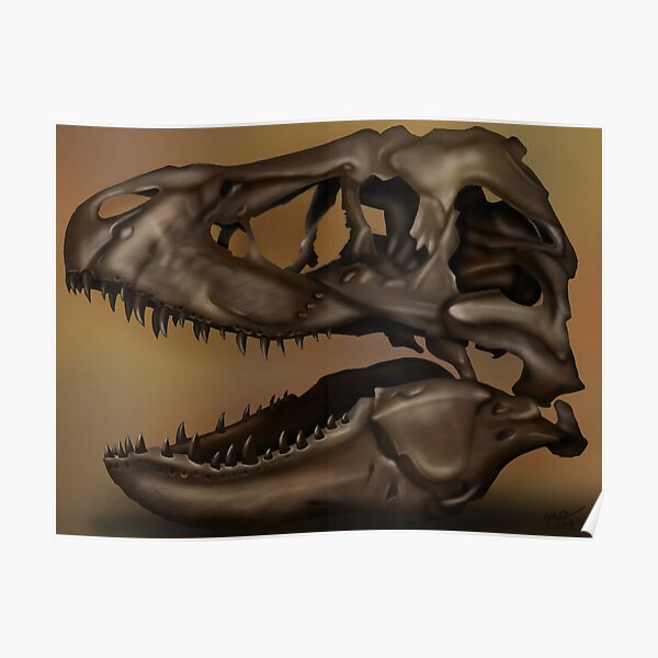 T. Rex Skull Poster