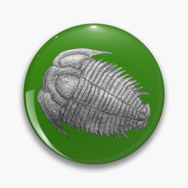 Item preview,  Trilobite fossil  designed and sold by DoodleSnake58.