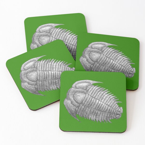 Item preview,  Trilobite fossil  designed and sold by DoodleSnake58.