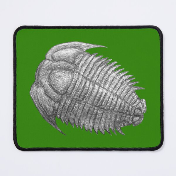 Item preview,  Trilobite fossil  designed and sold by DoodleSnake58.