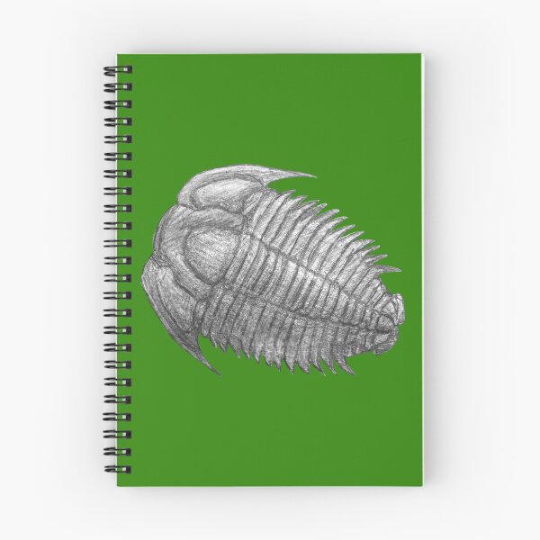 Item preview,  Trilobite fossil  designed and sold by DoodleSnake58.