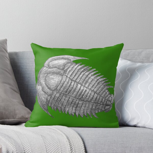 Item preview,  Trilobite fossil  designed and sold by DoodleSnake58.