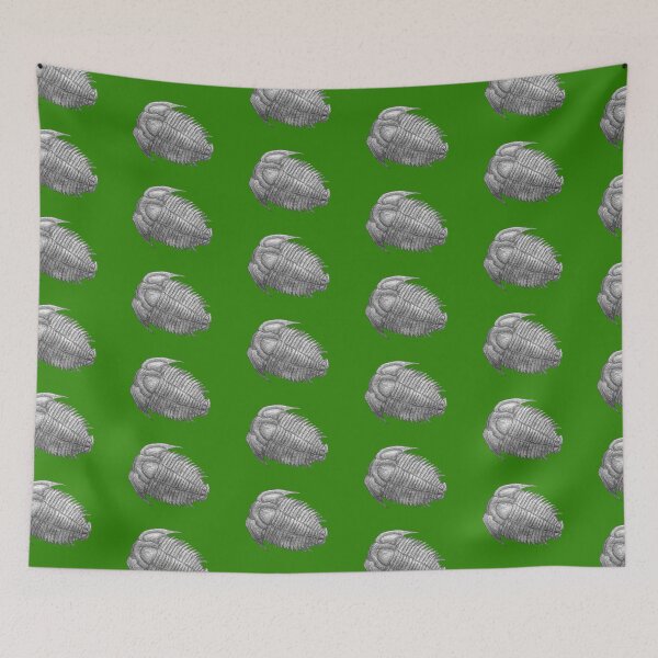 Item preview,  Trilobite fossil  designed and sold by DoodleSnake58.