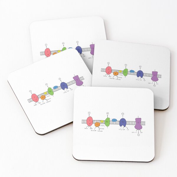 Item preview, Electron Transport Chain designed and sold by clint-chan.