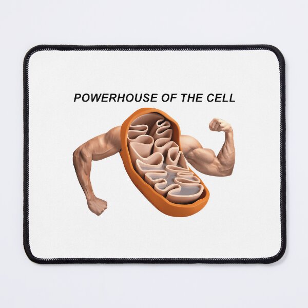 Item preview, Mitochondria designed and sold by clint-chan.