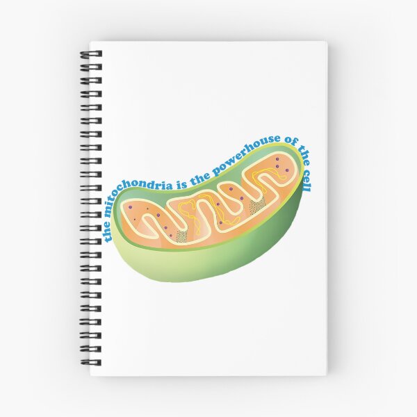Item preview, 28 The Mitochondria Is The Powerhouse Of The Cell designed and sold by clint-chan.