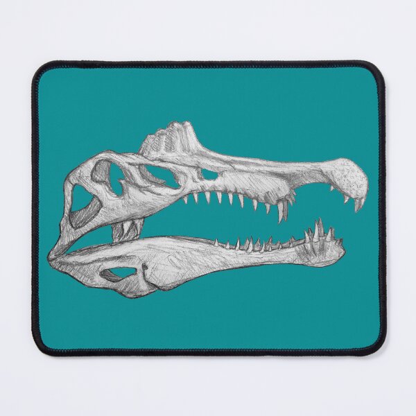 Item preview, Spinosaurus Aegiptiacus skull designed and sold by DoodleSnake58.