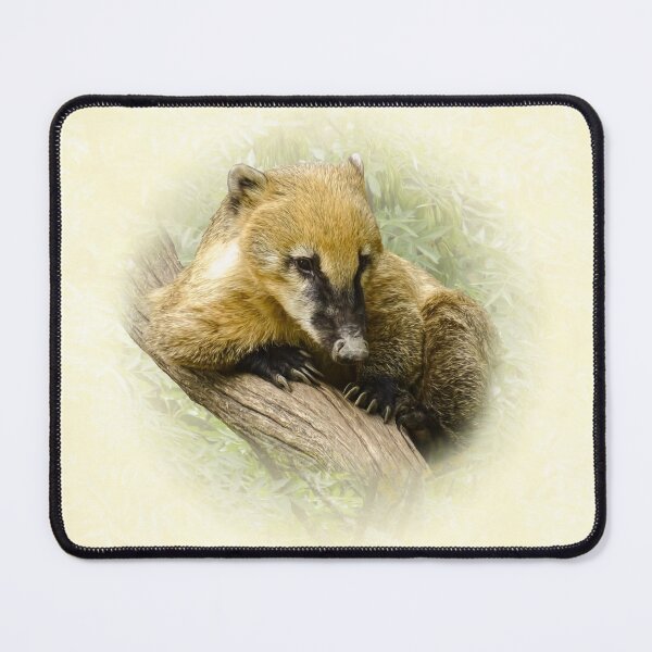 Item preview, Coati designed and sold by Guardi71.