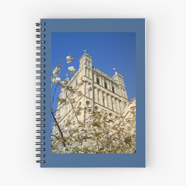 Item preview, SOUTH TOWER EXETER CATHEDRAL DEVON designed and sold by Richard Brookes Photography.