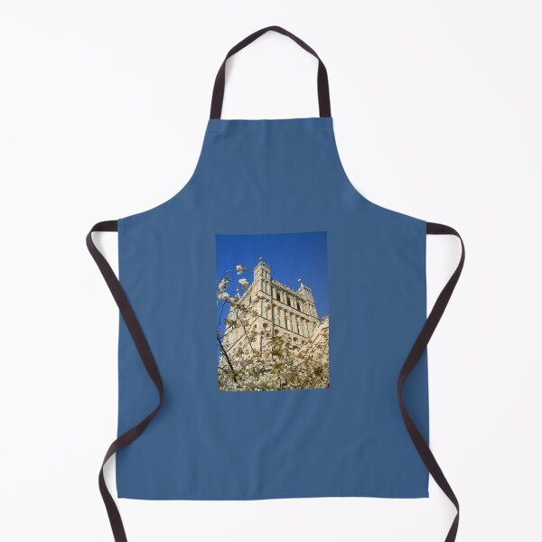 Item preview, SOUTH TOWER EXETER CATHEDRAL DEVON designed and sold by Richard Brookes Photography.