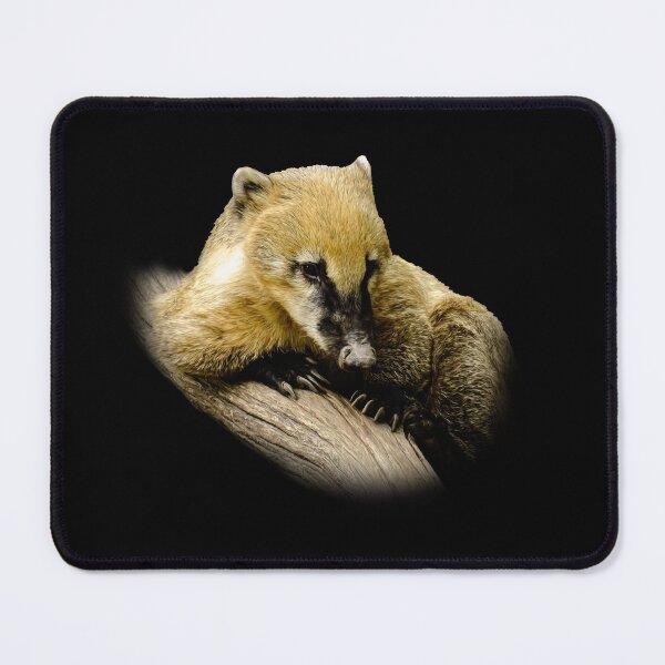 Item preview, Coati designed and sold by Guardi71.