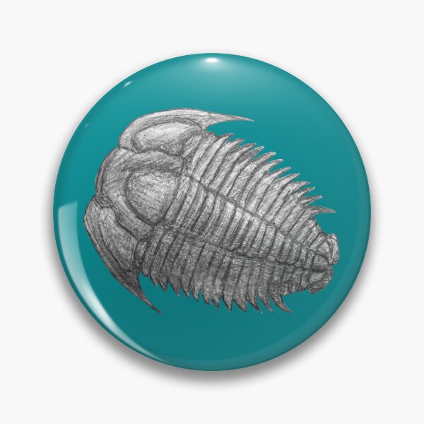 Item preview, Trilobite fossil  designed and sold by DoodleSnake58.
