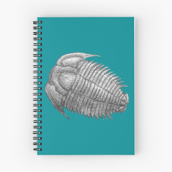 Item preview, Trilobite fossil  designed and sold by DoodleSnake58.