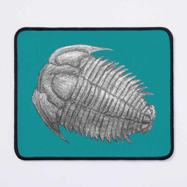 Item preview, Trilobite fossil designed and sold by DoodleSnake58.