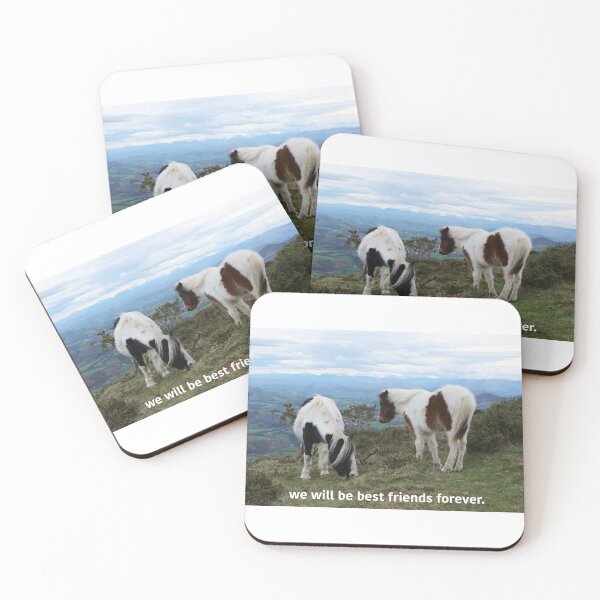 Item preview, "We will be best friends forever" ponies. designed and sold by jsmine.