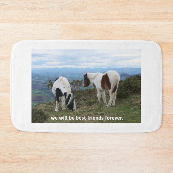 Item preview, "We will be best friends forever" ponies. designed and sold by jsmine.