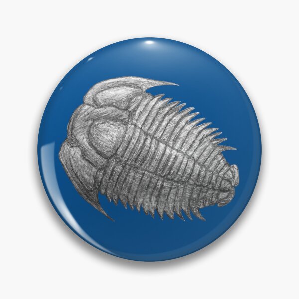 Item preview, Trilobite fossil  designed and sold by DoodleSnake58.