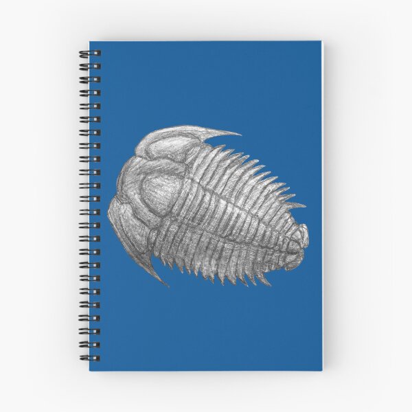 Item preview, Trilobite fossil  designed and sold by DoodleSnake58.