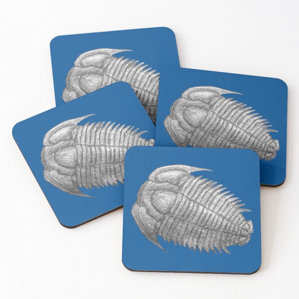 Item preview, Trilobite fossil  designed and sold by DoodleSnake58.