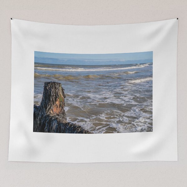 Item preview, Seaweed covered breaker designed and sold by yackers1.