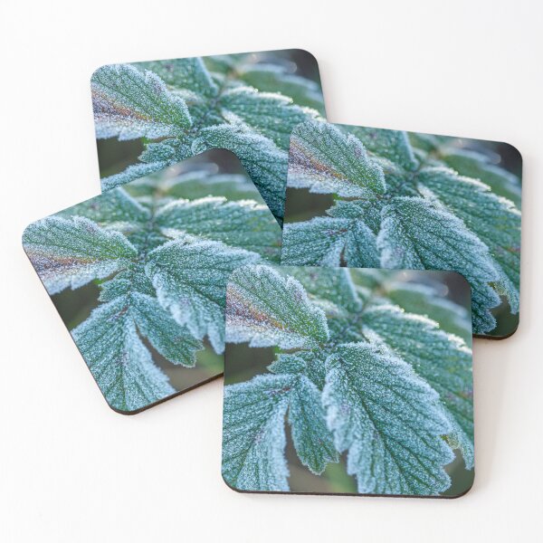 Item preview, Frosted Green Leaves in the Gentle Glow of Early Morning Light, a beautiful sight to behold designed and sold by 3 Hours of Silence.