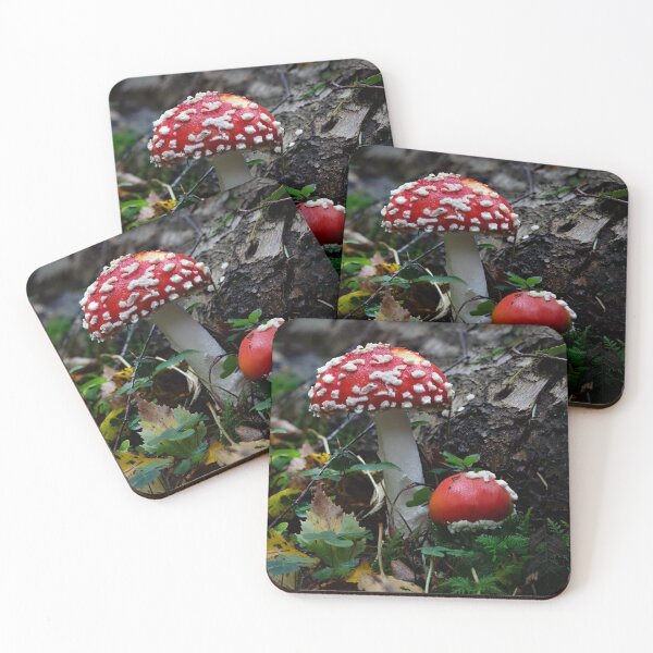 Item preview, Autumn Toadstool designed and sold by RedGrouse.