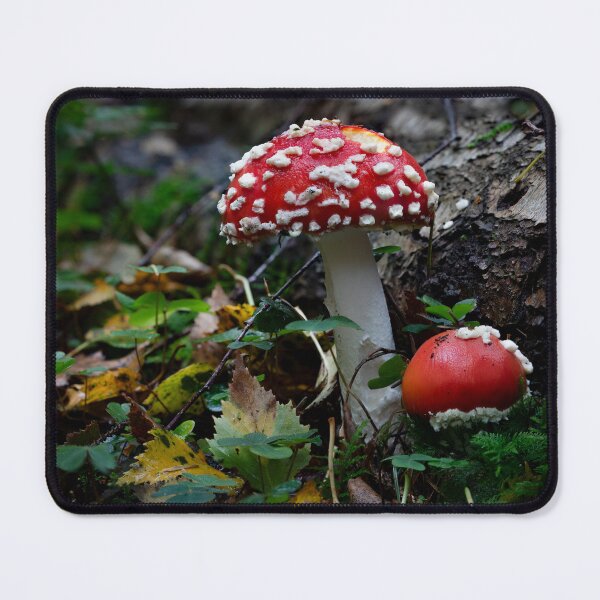 Item preview, Autumn Toadstool designed and sold by RedGrouse.