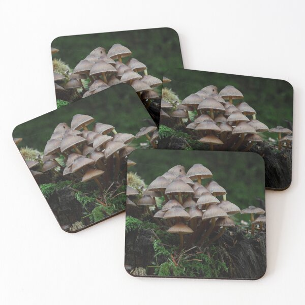 Item preview, A Gathering of Toadstools on a Mossy Stump designed and sold by RedGrouse.