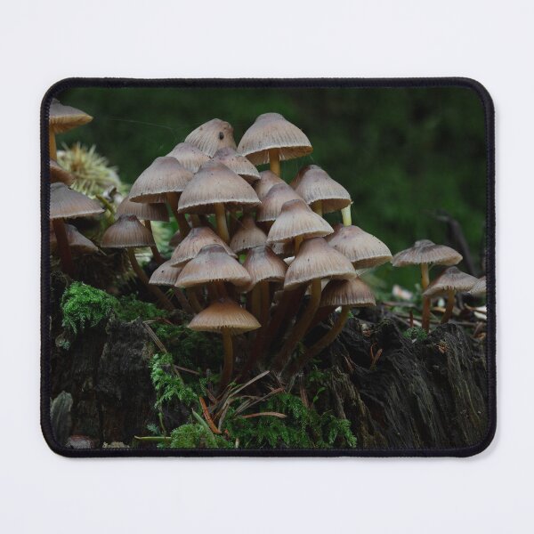 Item preview, A Gathering of Toadstools on a Mossy Stump designed and sold by RedGrouse.