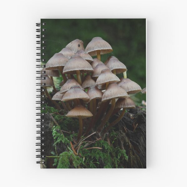Item preview, A Gathering of Toadstools on a Mossy Stump designed and sold by RedGrouse.