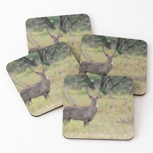 Item preview, Mosi the Watchful Waterbuck — Guardian of the Okavango Grasslands designed and sold by DavideAntoniani.