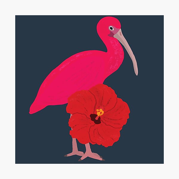 Item preview, Hibiscus Ibis designed and sold by BDBirds.