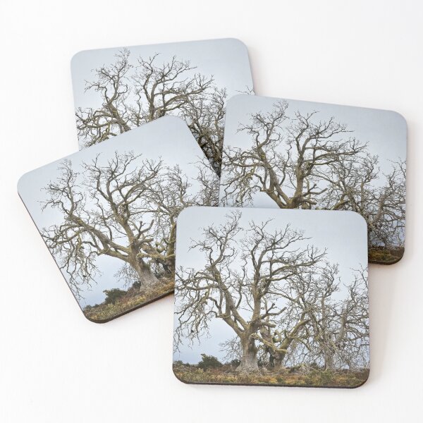 Item preview, 2213 Dead trees designed and sold by Hans Kawitzki.