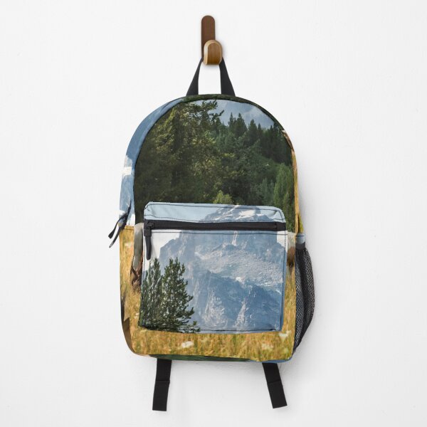 Item preview, Grand Teton National Park Poster designed and sold by projectbadass.