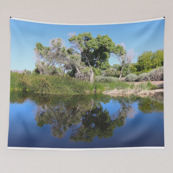 Item preview, Stunning Tree Water Reflection  designed and sold by simonjayphotos.