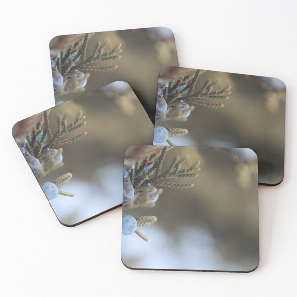 Item preview, Evergreen Berries designed and sold by byamyclark.