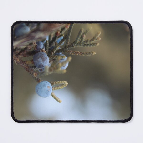Item preview, Evergreen Berries designed and sold by byamyclark.