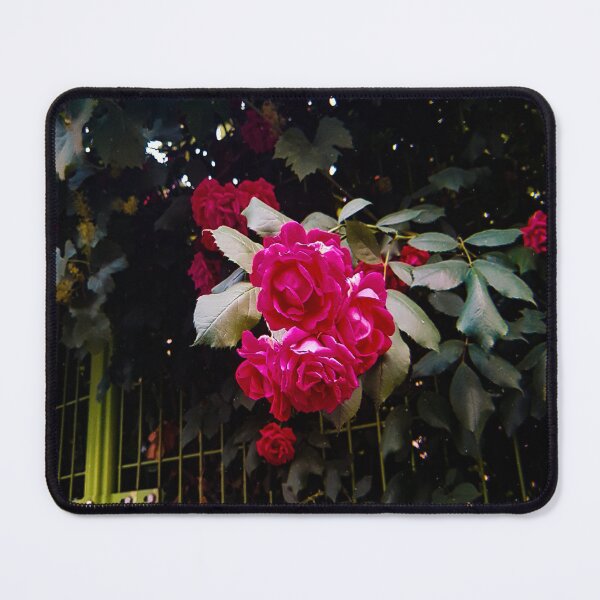 Item preview, Roses designed and sold by AlineMaia.