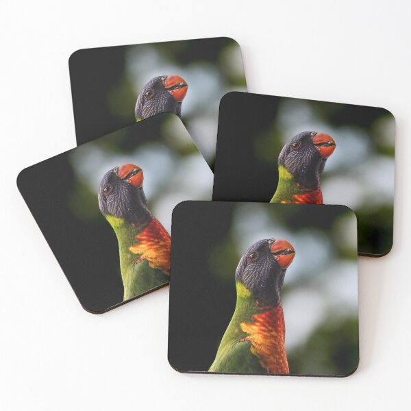 Item preview, Rainbow Lorikeet designed and sold by FallenTrickster.