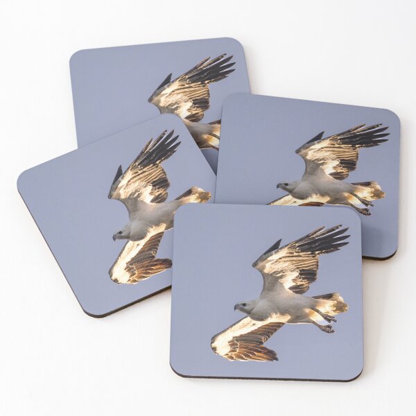 Item preview, Australian Native Birds - White-Bellied Sea-Eagle designed and sold by Ozjanette90.