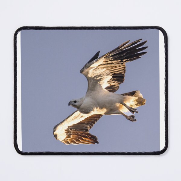 Item preview, Australian Native Birds - White-Bellied Sea-Eagle designed and sold by Ozjanette90.