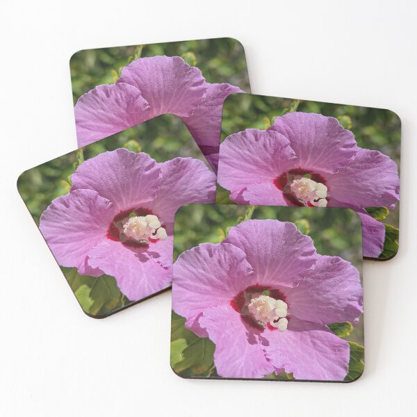 Item preview, Red to Pink Petals designed and sold by Betsy Phillips.
