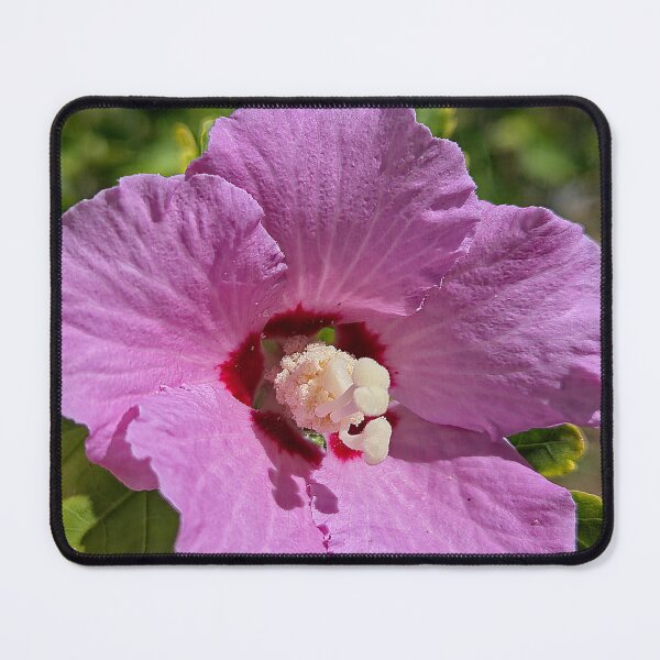 Item preview, Red to Pink Petals designed and sold by Betsy Phillips.