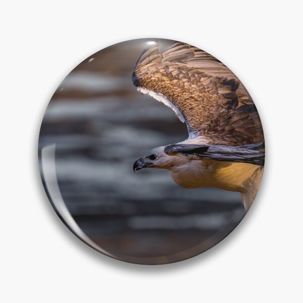 Item preview, Australian Native Birds - White-bellied Sea-eagle designed and sold by Ozjanette90.