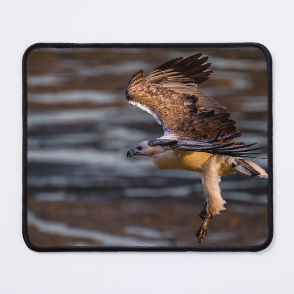 Item preview, Australian Native Birds - White-bellied Sea-eagle designed and sold by Ozjanette90.