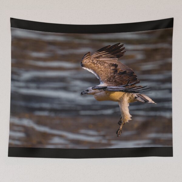 Item preview, Australian Native Birds - White-bellied Sea-eagle designed and sold by Ozjanette90.