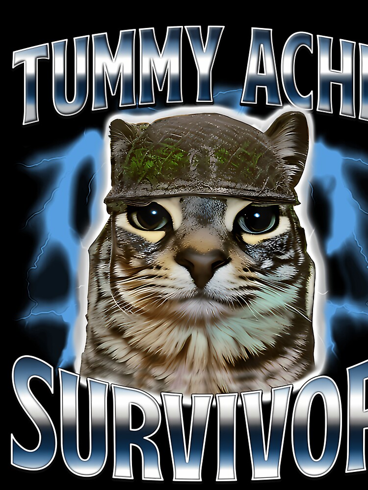 Funny Saying Cats Tummy Ache Survivor Cat Meme Humor Men