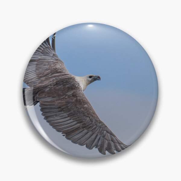 Item preview, Australian Native Birds - White-bellied Sea-eagle designed and sold by Ozjanette90.