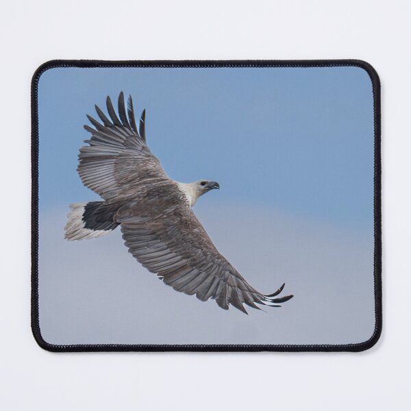 Item preview, Australian Native Birds - White-bellied Sea-eagle designed and sold by Ozjanette90.