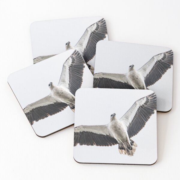 Item preview, Australian Native Birds - White-bellied Sea-eagle designed and sold by Ozjanette90.